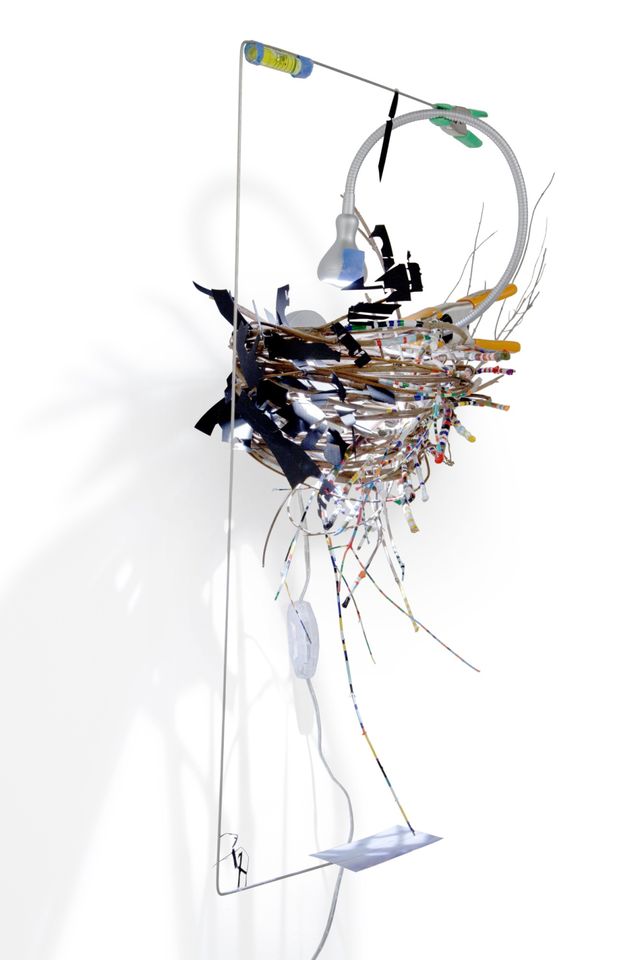 View Finder (Birds Nest)