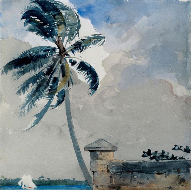 Palm Trees and Stone Wall