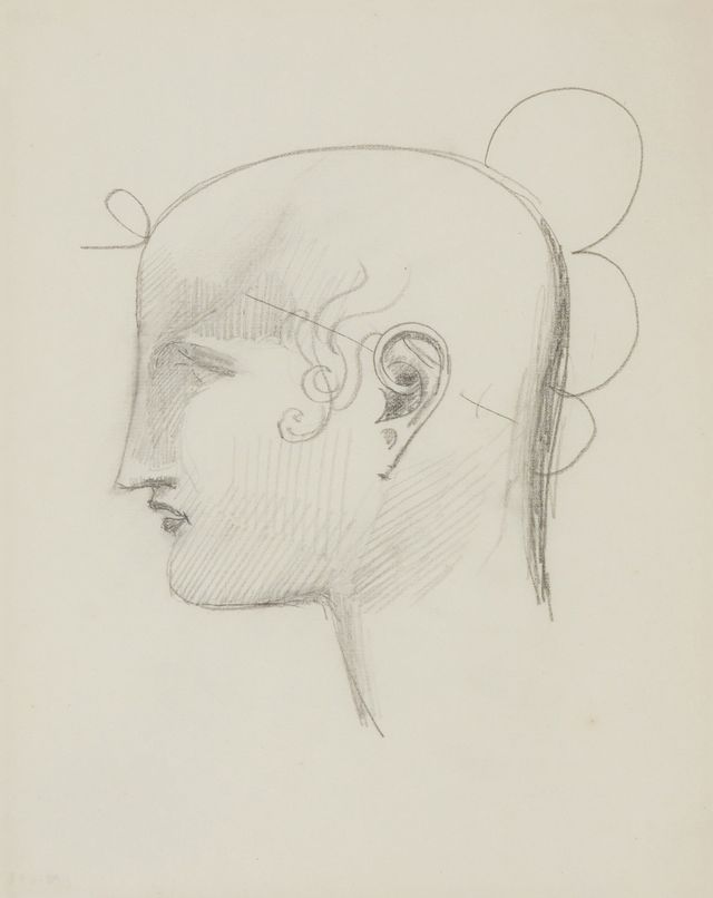 Head Study