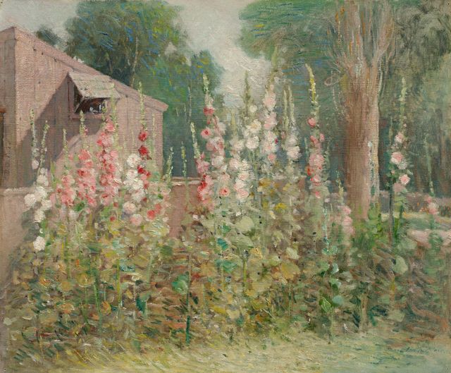 Hollyhocks