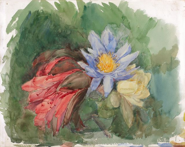 Water Lilies and Hibiscus