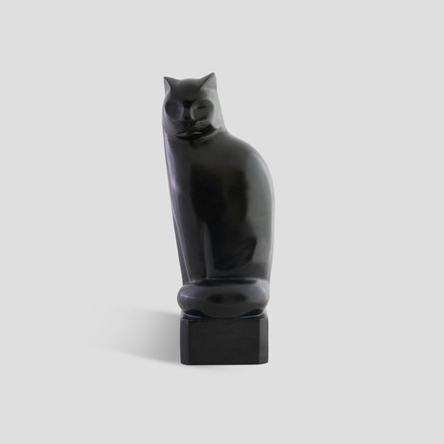 Gato