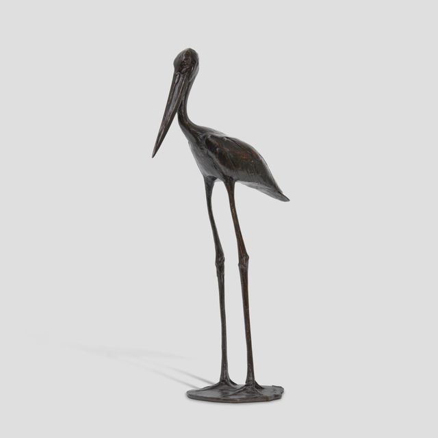 Jabiru d’Afrique (ou Jabiru)