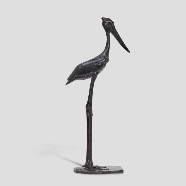 Jabiru d’Afrique, le mâle