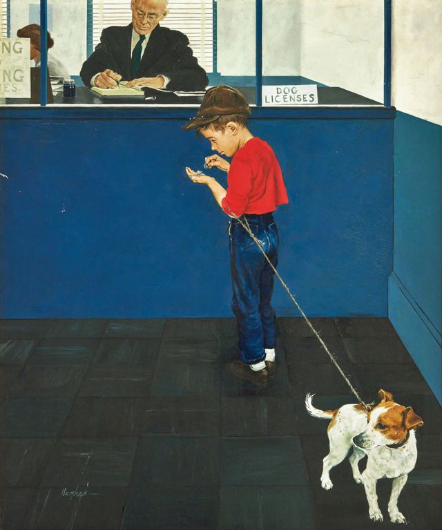 Dog License