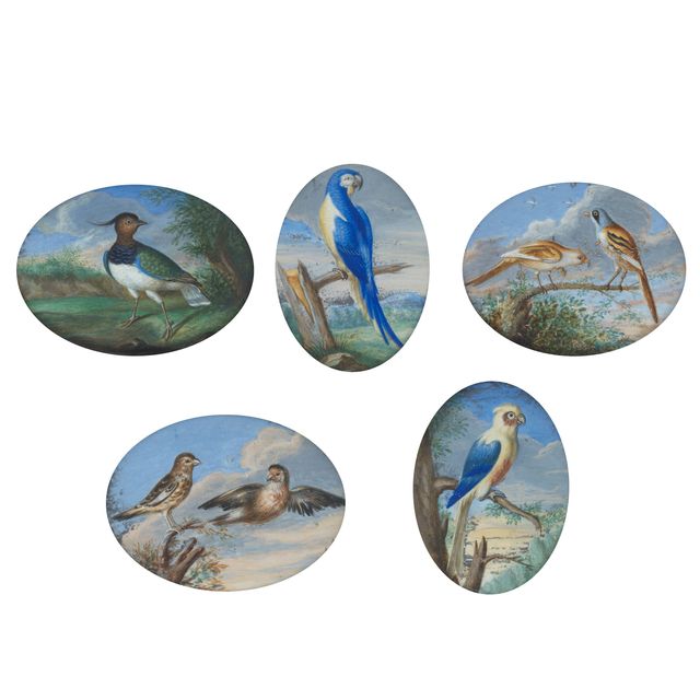 A group of five miniatures of birds, including a parrot, a northern lapwing, and thrushes (5)