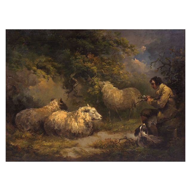 A shepherd with his flock