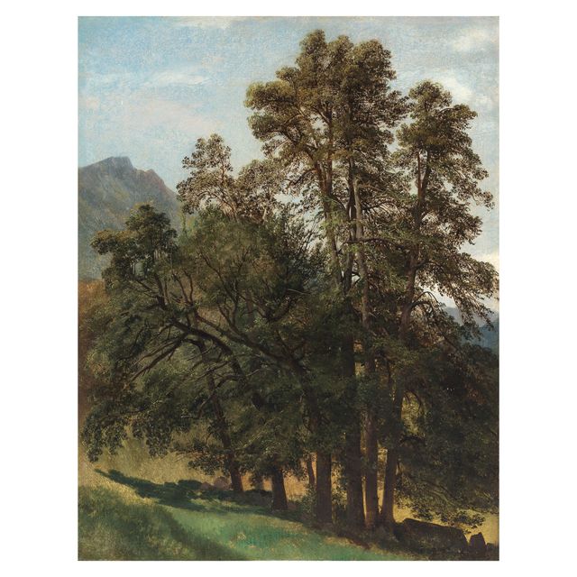Study of trees on a mountainside
