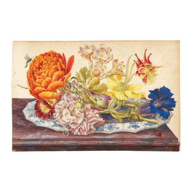 A study of a gentian, a carnation and other flowers on a blue and white dish standing on a marble ledge