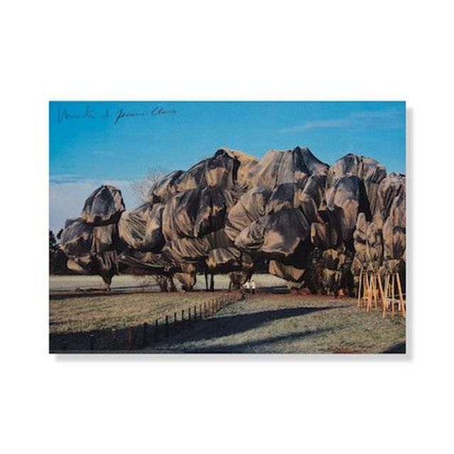 Wrapped Trees/Verhüllte Bäume, Fondation Beyeler, 1998