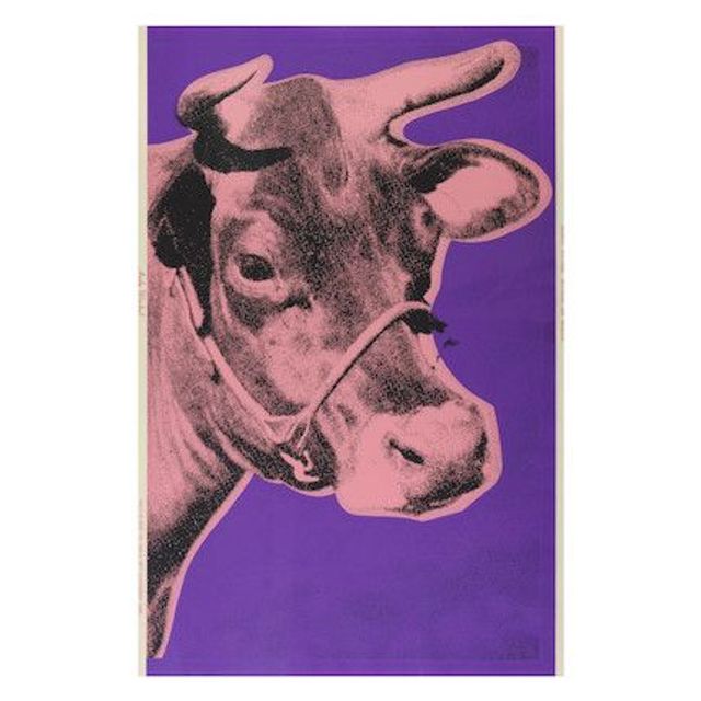 Cow, 1976