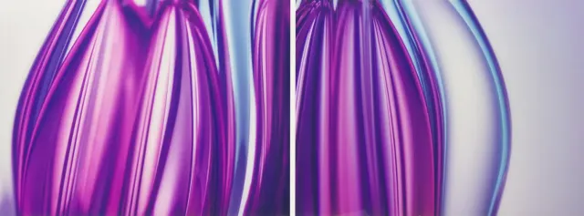 Transmutation 02 and Transmutation 03 (diptych), 2005