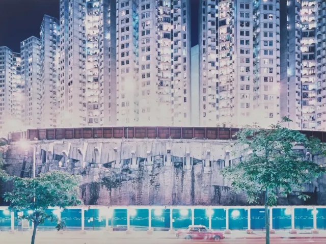 Hong Kong, #31 (from Neon Tigers), 2001