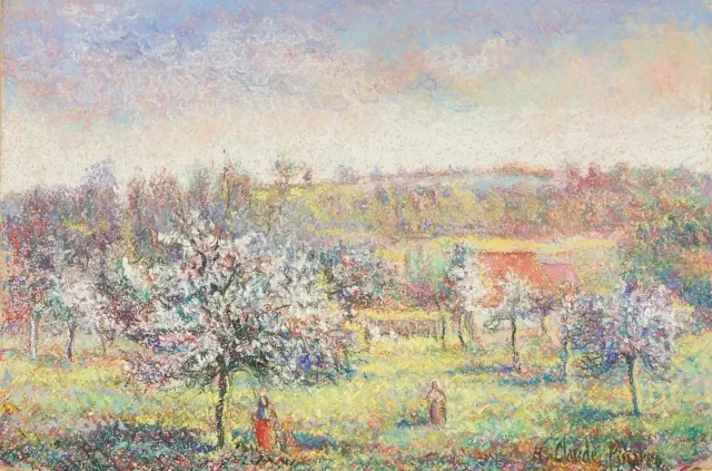 Pommier en Fleur à la Ferme de Noué