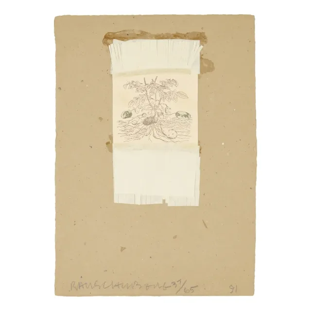 Untitled (from Shirtboards, Morocco, Italy '52 Portfolio), 1991