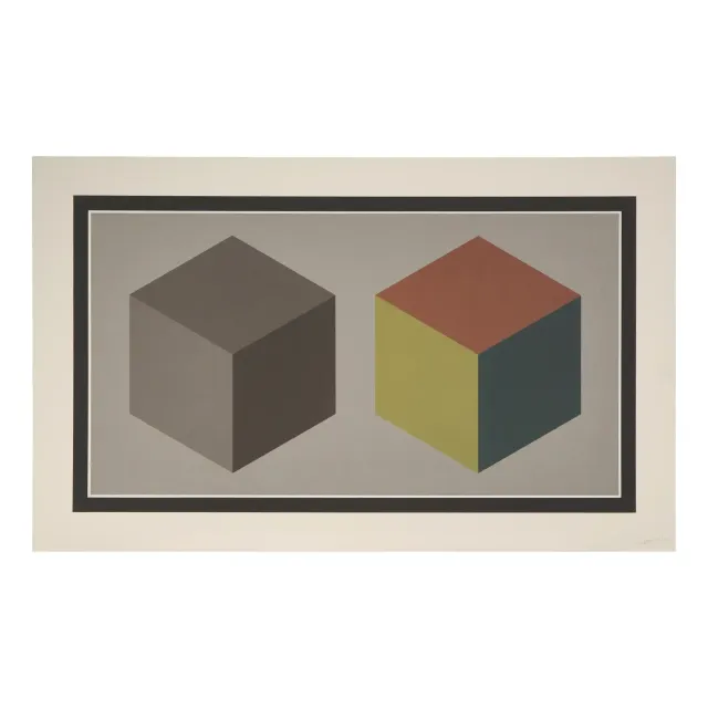 Double Cubes in Grays and Colors Superimposed, 1989