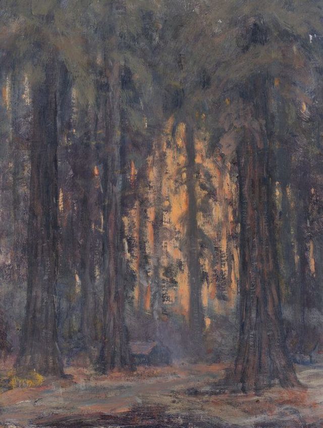 Redwoods Near Benbow