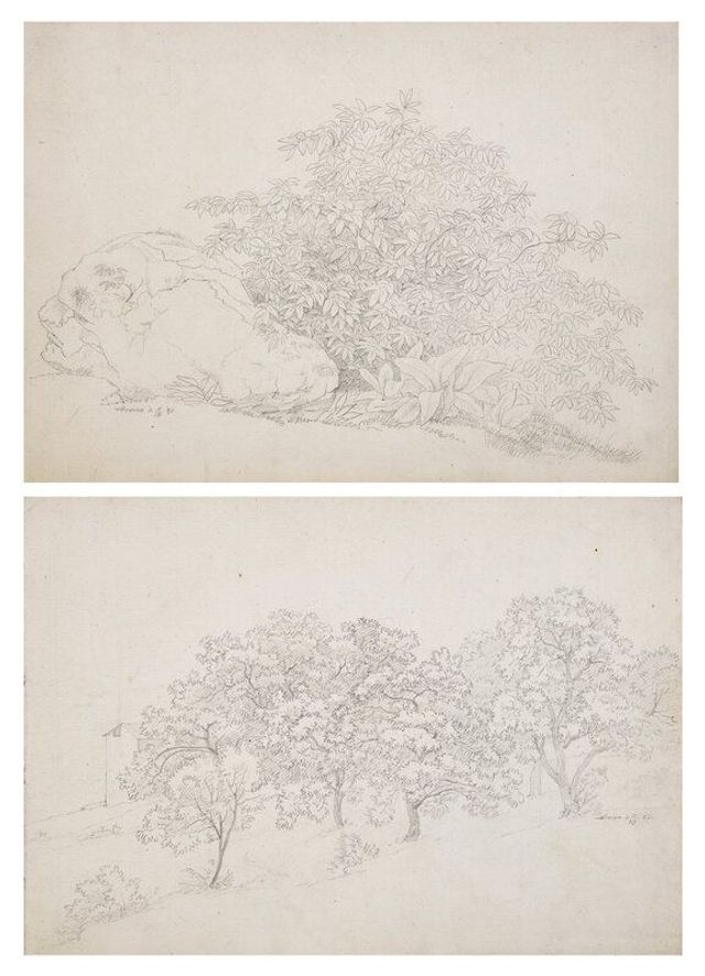 Plant Study with Boulder in Lovere and Landscape in Lovere (two works)