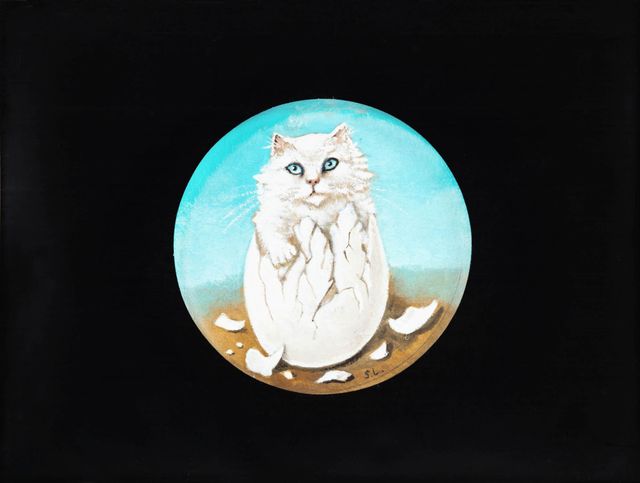 Chat