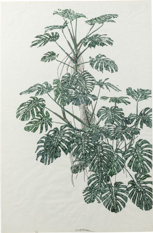 Untitled (Plants)