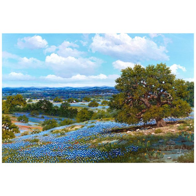 Bluebonnets