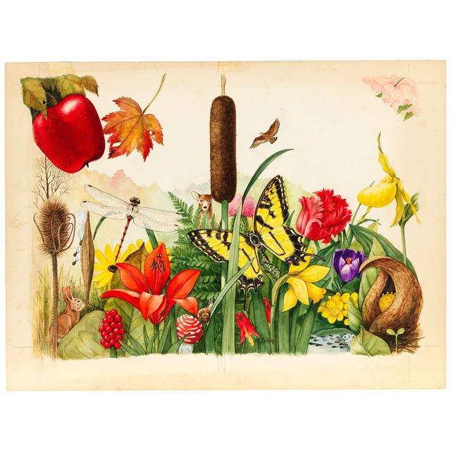 Flowers and Wildlife
