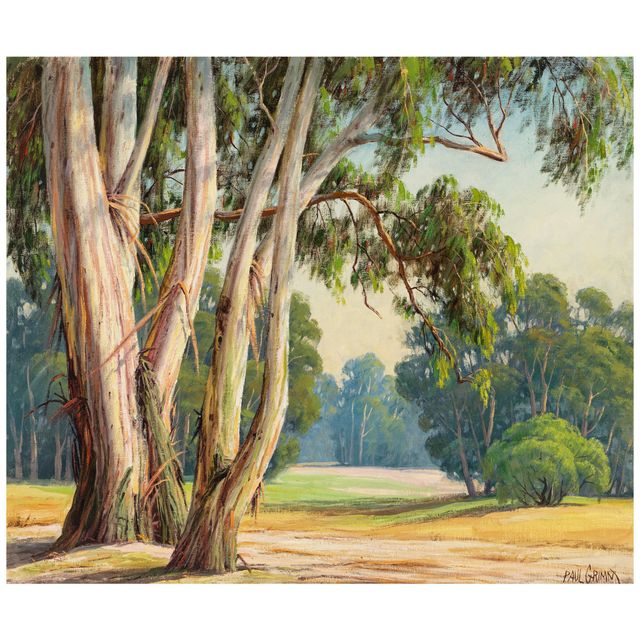 Eucalyptus