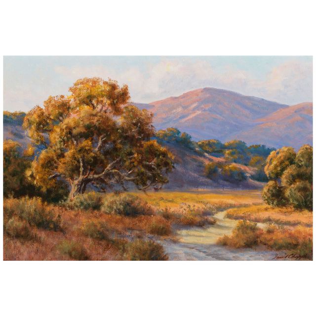 Evening Creekbed
