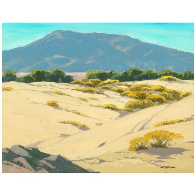Desert Dunes