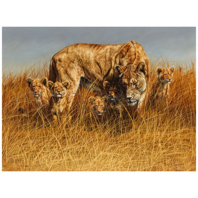 Lioness and Five Cubs