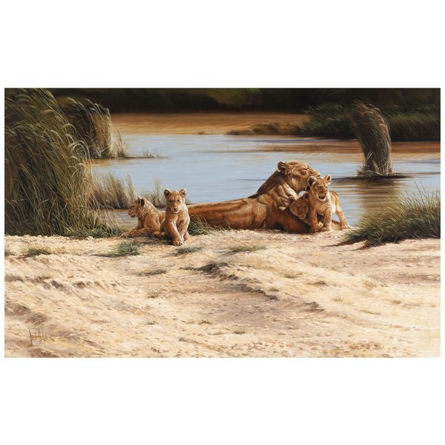 The Waterhole