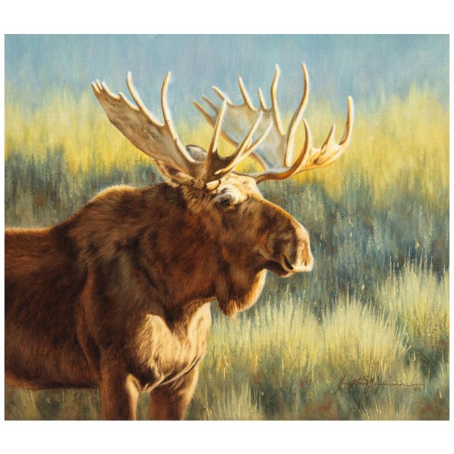 Warming Up, Moose