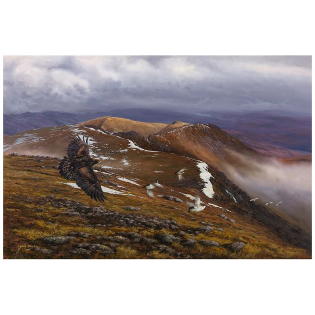 Eagle Soaring Over a Landscape