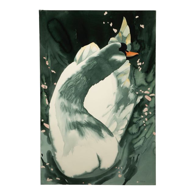 Untitled (Swan IV)