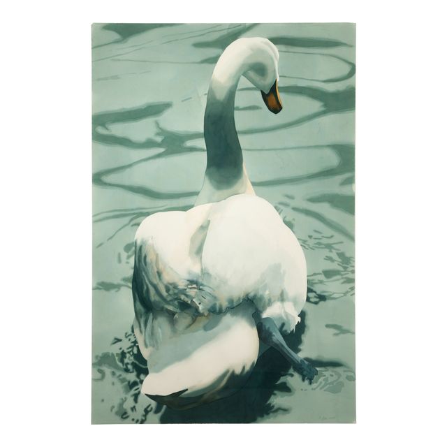 Untitled (Swan V)