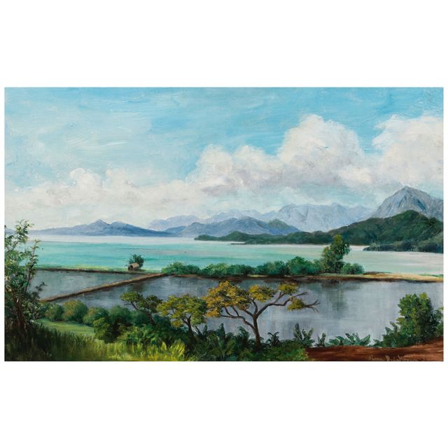 Fish Pond