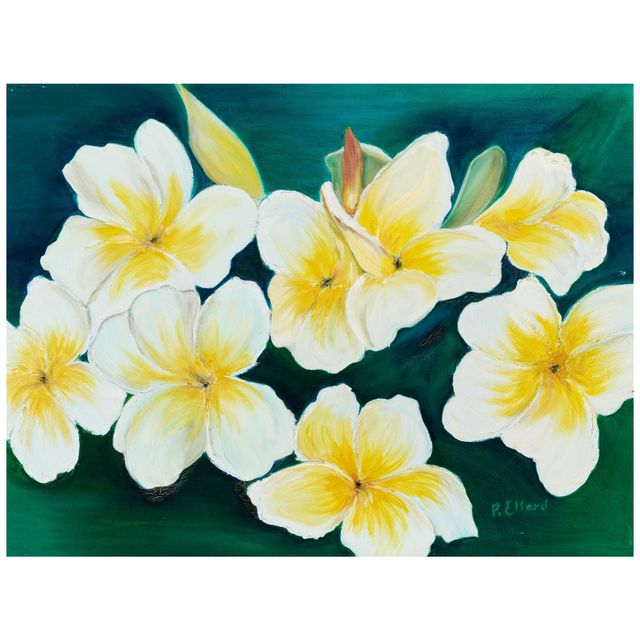 Plumeria