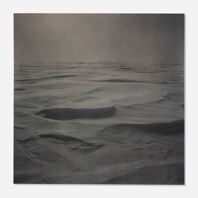 Arctic Plate 12