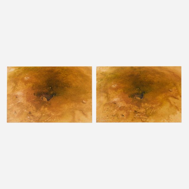 Becoming a Landscape (1)
