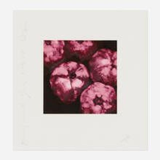 Pomegranates (from the Fruits and Flowers III series)