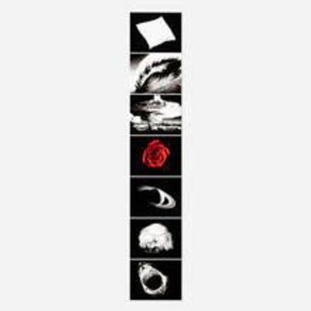 Essentials (from the Forty Are Better Than One series)
