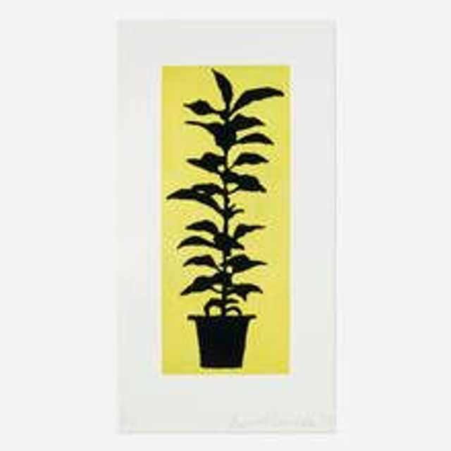Potted Plant