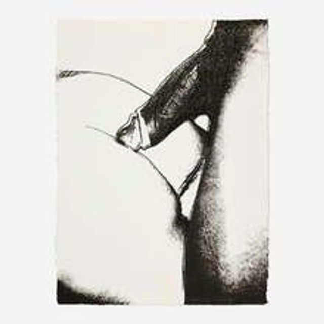 Untitled (from the Sex Parts series)