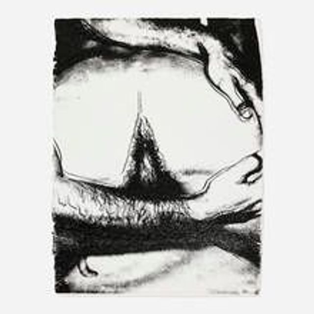 Untitled (from the Sex Parts series)