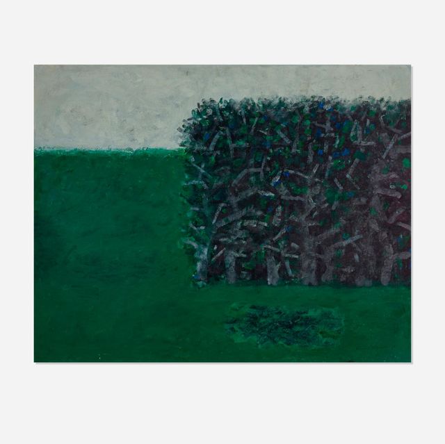 Forest and Green Field