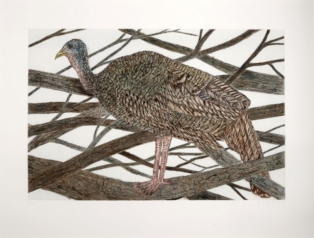 In a Bower