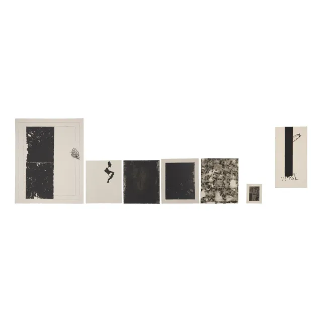 Snowblind, 1987 (portfolio of 6 etchings and a monoprint, with a portfolio case)