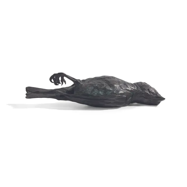 Flying on the Ground is Wrong, 2006