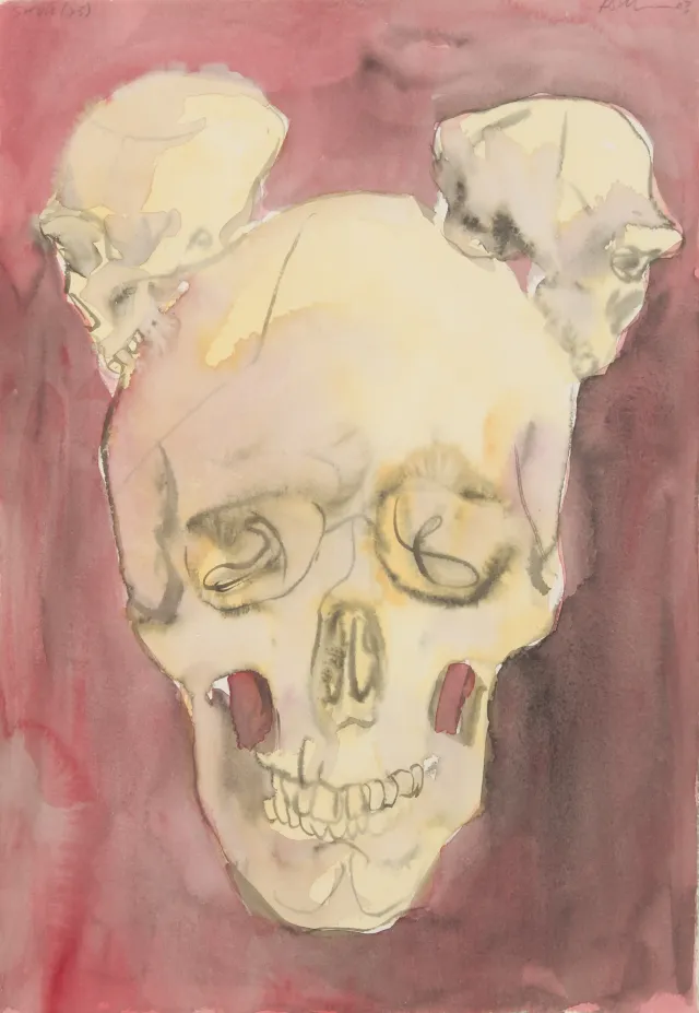 Skull (x3), 2003