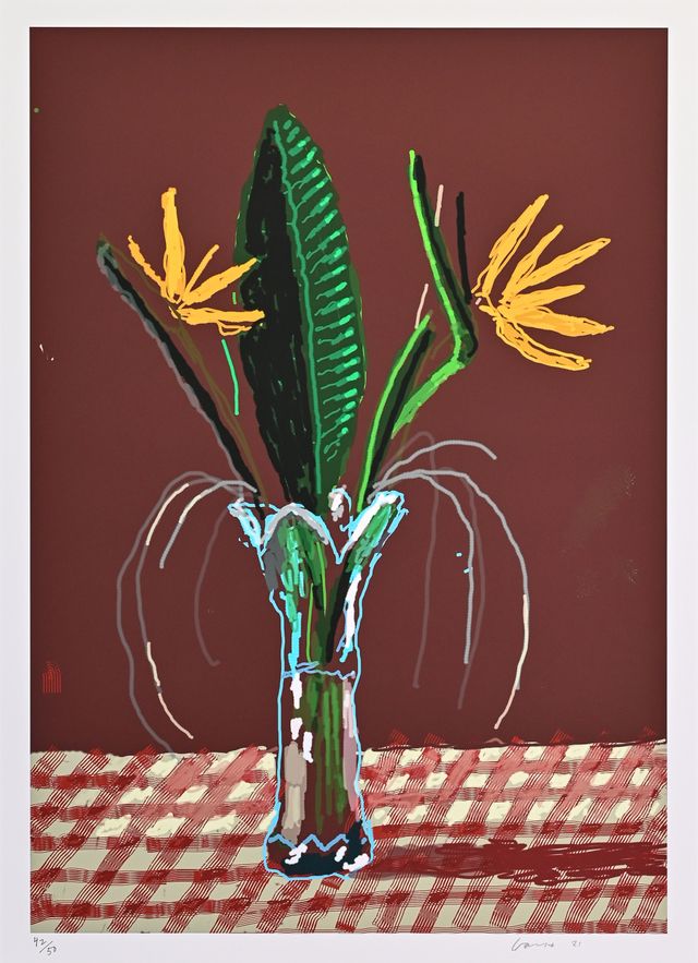 26th March 2021, Exotic Flowers